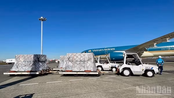 Ảnh minh họa: Hàng hóa được vận chuyển bằng đường hàng không.