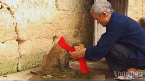 Đến Tết, chó đá Ma-hin không chỉ được tắm mà còn được choàng một chiếc khăn đỏ.