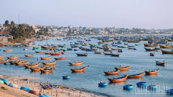 Làng chài ven biển thuộc tỉnh Lâm Đồng.