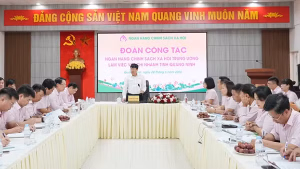 Đoàn công tác làm việc với chi nhánh Ngân hàng Chính sách xã hội tỉnh Quảng Ninh