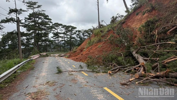 Điểm sạt lở do mưa lũ tại đèo D'Ran đã được xử lý, tới ngày 12/12 các phương tiện dưới 5 tấn đã có thể đi lại.