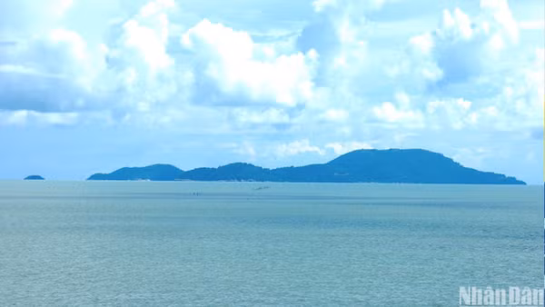 Cụm đảo Hòn Khoai thuộc tỉnh Cà Mau.