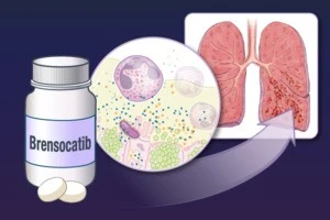 Ảnh minh họa. (Nguồn: TTXVN)