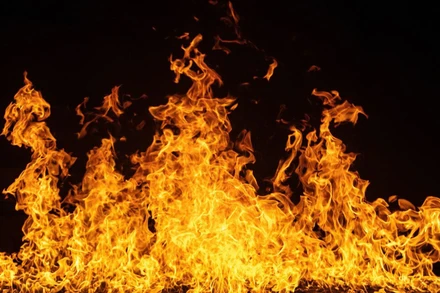 Ảnh minh họa. (Nguổn: TTXVN)