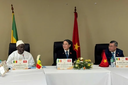 Phó Chủ tịch Quốc hội Nguyễn Đức Hải có cuộc làm việc với ông Mamadou FAYE, Chủ tịch Tòa thẩm kế Senegal.