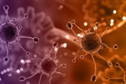 (Ảnh minh họa: TTXVN)