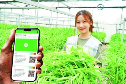 Giải pháp công nghệ của Công ty cổ phần Công nghệ cao Hachi Việt Nam giúp nông dân giảm chi phí, bảo vệ tài nguyên và giảm phát thải khí nhà kính. (Ảnh: BÍCH LIÊN)