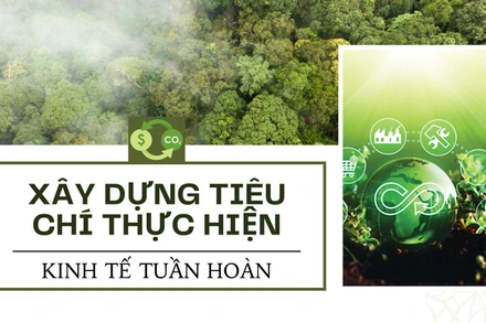 Xây dựng tiêu chí thực hiện kinh tế tuần hoàn 