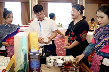 Các đại biểu tham quan gian trưng bày sản phẩm tiêu của các cơ sở công nghiệp nông thôn.