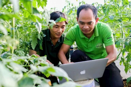 Anh Nguyễn Đức Huy hướng dẫn nhân công về hệ thống điều khiển trang trại VietPorics.