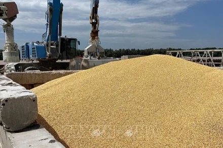 Ngũ cốc được chất tại cảng biển Izmail, vùng Odesa, Ukraine. (Ảnh tư liệu: AFP/TTXVN)