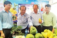 Người dân thành phố tham quan và mua sắm tại Hội chợ xúc tiến thương mại quận Bình Tân. Ảnh: XUÂN PHÚ