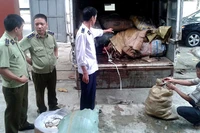 Đội QLTT số 1 bắt giữ nội tạng bò và chân giò lợn nhập lậu, tại TP Lào Cai, sáng ngày 2-10-2015.