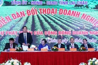 Lãnh đạo tỉnh Lai Châu trả lời các ý kiến kiến nghị của doanh nghiệp tại diễn đàn.
