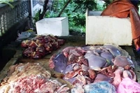 Số nội tạng trâu bò phát hiện tại nhà ông Đỗ Văn Tư.