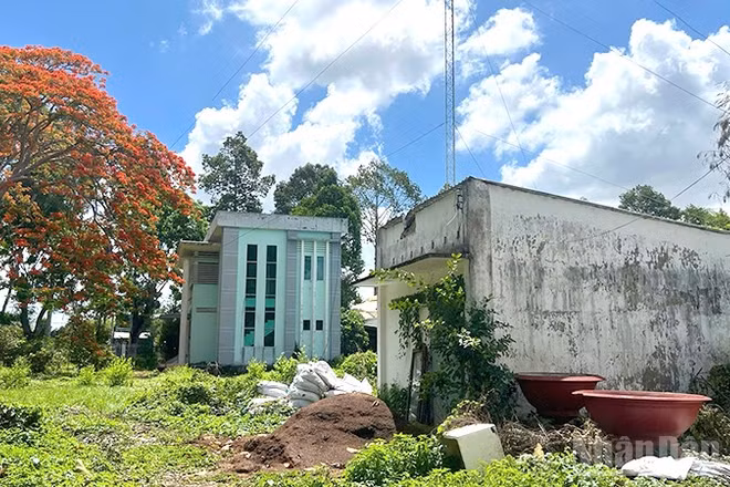 Hiện trường vụ tai nạn lao động.