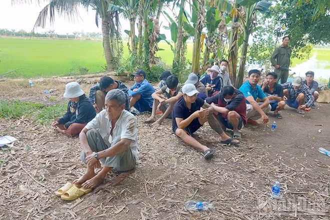 Các đối tượng tham gia đá gà.