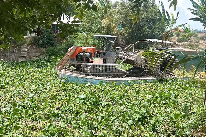Một chiếc phà di chuyển khó khăn trên kênh Công Sự, xã Phương Thịnh do lục bình xuất hiện dày đặc. (Ảnh: HỮU NGHĨA)