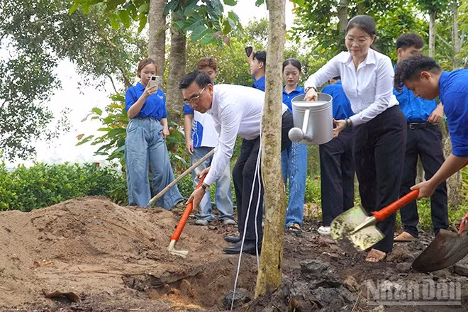 Đại biểu và các bạn đoàn viên, thanh niên đã ra quân trồng cây xanh tại Khu di tích lịch sử căn cứ Huyện ủy (Tràm Dơi).