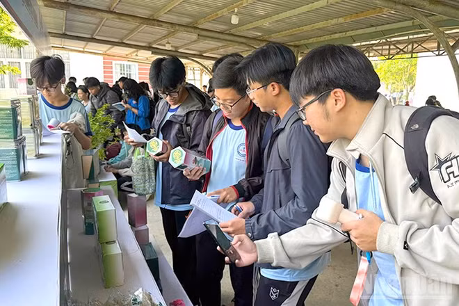 Học sinh xem trưng bày, triển lãm sản phẩm thanh niên khởi nghiệp. (Ảnh: HỮU NGHĨA)