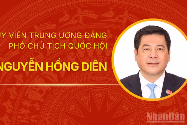 [Infographic] Tiểu sử Phó Chủ tịch Quốc hội Nguyễn Hồng Diên