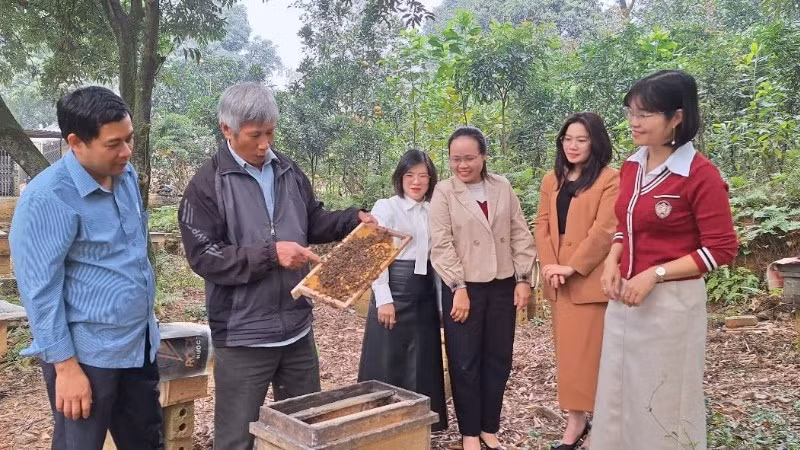 Cán bộ và các thành viên Hợp tác xã nuôi ong Liên Sơn ở thôn Đồng Sơn, phường Lý Thường Kiệt, tỉnh Ninh Bình trao đổi kinh nghiệm nuôi ong mật.