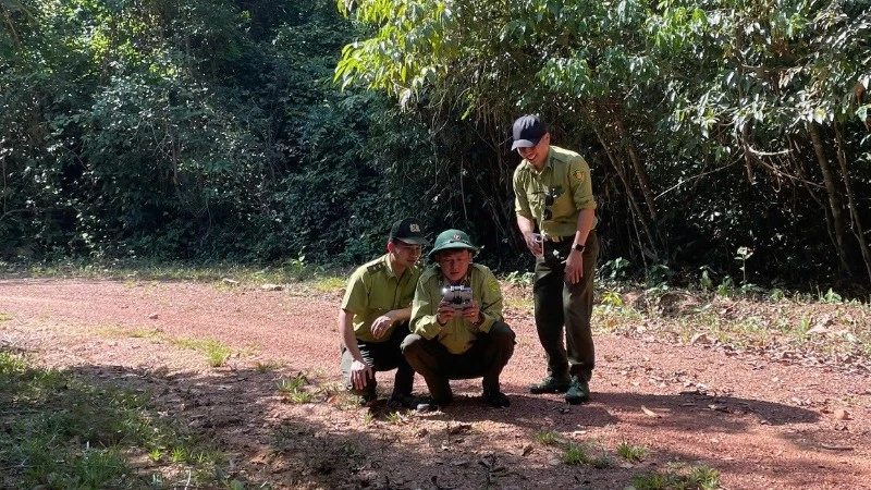 Nhân viên kiểm lâm Khu Bảo tồn-Thiên nhiên-Văn hóa Đồng Nai tuần tra rừng.
