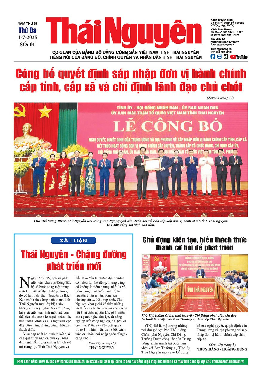 bao-thai-nguyen.jpg