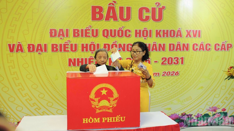 Cử tri phường Hải Châu bỏ phiếu bầu cử.