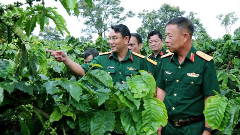 Đại diện Công ty Cà-phê 15 tham quan vườn.