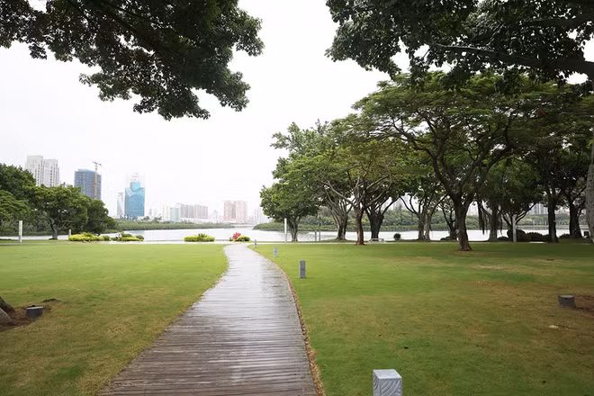 Hồ Vân Đang: Từ "hồ nước chết" đến không gian sinh thái giữa lòng thành phố Hạ Môn