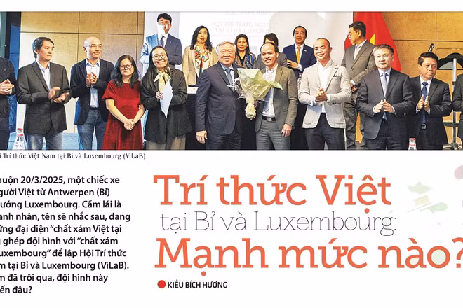 Trí thức Việt tại Bỉ và Luxembourg mạnh mức nào?