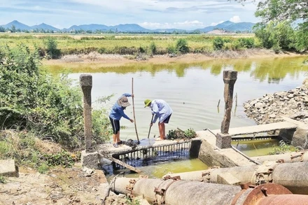 Vớt rác khơi thông dòng chảy bảo đảm nguồn nước cho sản xuất vụ hè thu năm 2025 ở Nghệ An.