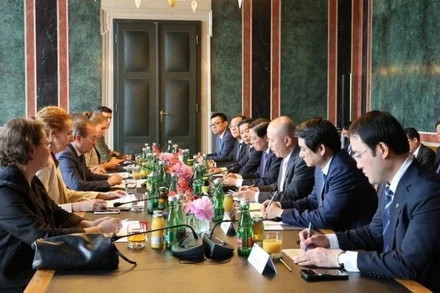 Đoàn đại biểu Đảng cộng sản Việt Nam làm việc cùng Phó Chủ tịch Hội đồng Quốc gia Áo, Peter Haubner. (Ảnh: Thu Hằng/TTXVN)