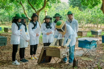 Mô hình nuôi ong tại Trung tâm Nghiên cứu Ong và Nuôi ong nhiệt đới. (Ảnh: Học viện Nông nghiệp Việt Nam). 