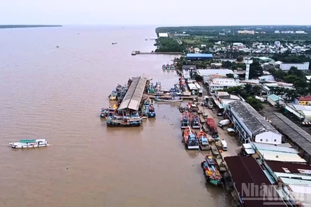 Cảng cá Trần Đề nhìn từ trên cao.