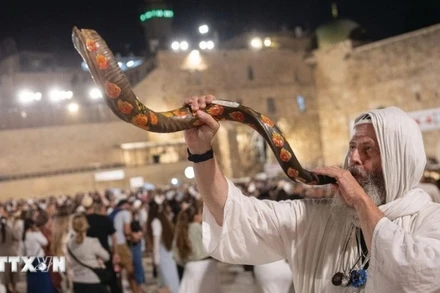 Nghi thức trung tâm trong Rosh Hashanah là việc thổi shofar – tù và làm từ sừng cừu đực, vào mỗi buổi sáng (trừ ngày Sabbath), như một hồi chuông thức tỉnh tâm linh, mời gọi con người hướng về sự thay đổi và làm mới bản thân. (Ảnh: TTXVN phát)