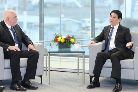 Chủ tịch nước Lương Cường tiếp ông Ron Vachris, Chủ tịch, Giám đốc điều hành Tập đoàn Costco. (Ảnh: Lâm Khánh/TTXVN)