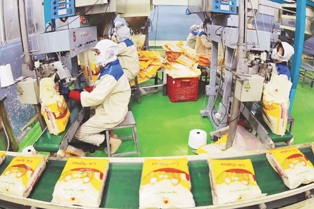 Đóng gói gạo xuất khẩu tại Công ty cổ phần Tập đoàn Lộc Trời. (Ảnh: TTXVN)