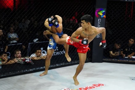 LC29 thu hút nhiều cặp đấu nổi tiếng, hứa hẹn những trận đấu kịch tính và hấp dẫn.