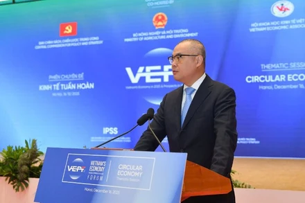 Đồng chí Phạm Đại Dương, Ủy viên Trung ương Đảng, Phó Trưởng Ban Chính sách, chiến lược Trung ương phát biểu đề dẫn phiên hội thảo chuyên đề kinh tế tuần hoàn và chuyển đổi xanh. (Ảnh: Thế Đại)