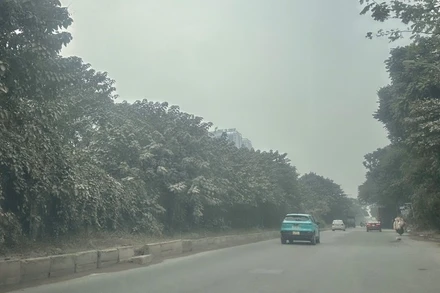 Tuyến đường gom Đại lộ Thăng Long (đoạn qua khu vực gần Thiên Đường Bảo Sơn) chìm trong lớp bụi dày đặc, mịt mù. Cây cối ven đường đổi sang màu trắng đục, phủ đầy lớp bột mịn. (Ảnh: THÙY LINH)
