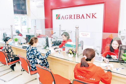 Khách hàng giao dịch tại chi nhánh Ngân hàng Agribank.