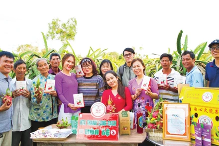 Trái thanh long Lâm Đồng được nâng tầm với quy trình tiêu chuẩn, sản phẩm đa dạng và bao bì hấp dẫn.