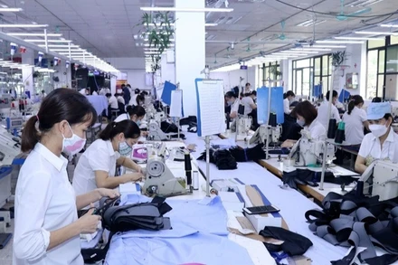 Đóng bảo hiểm xã hội cho người lao động là nghĩa vụ của các đơn vị sử dụng lao động. (Ảnh: MINH DUYÊN)