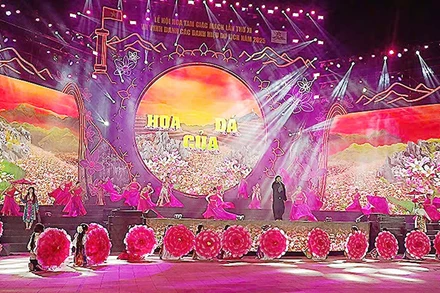 Khai mạc Lễ hội Hoa tam giác mạch năm 2025.