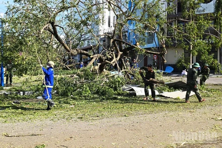 Bộ đội cùng công nhân vệ sinh môi trường tỉnh Gia Lai cắt tỉa cây bị đổ gãy, thông thoáng đường đi cho người dân.