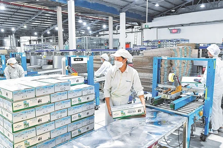 Trong những bước phát triển lớn của nền kinh tế có dấu ấn của nhiều doanh nghiệp tư nhân ở các lĩnh vực. (Ảnh: Thành Đạt)