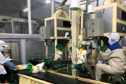 Dây chuyền sản xuất gạo K-75.