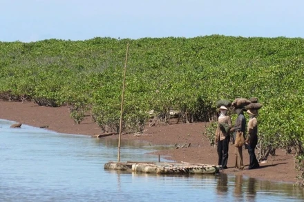 Người dân địa phương tranh thủ bắt cáy, don khi vào mùa.